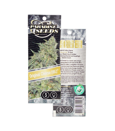 Original Cheese (IBL) fem семена конопли