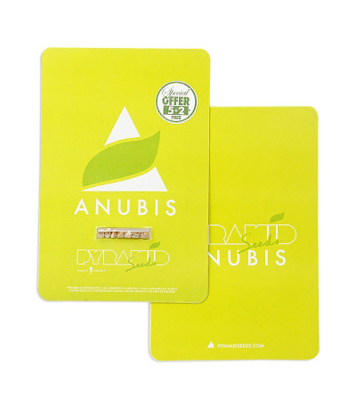 Anubis fem (Pyramid Seeds) семена конопли