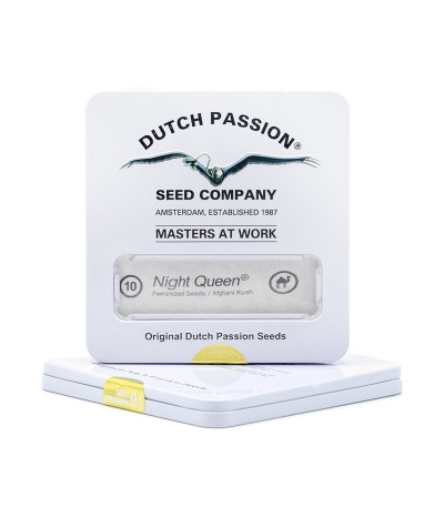 Night Queen fem семена конопли