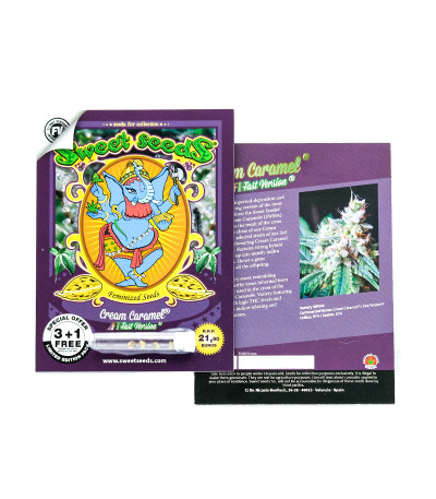 Cream Caramel F1 Fast Version fem (Sweet Seeds) семена конопли