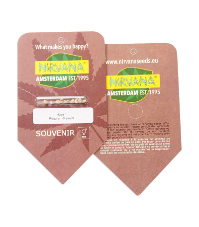 Haze 1 (Amnesia Haze) reg (Nirvana Seeds) семена конопли