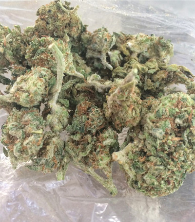 Canadian Kush 2.0 fem семена конопли