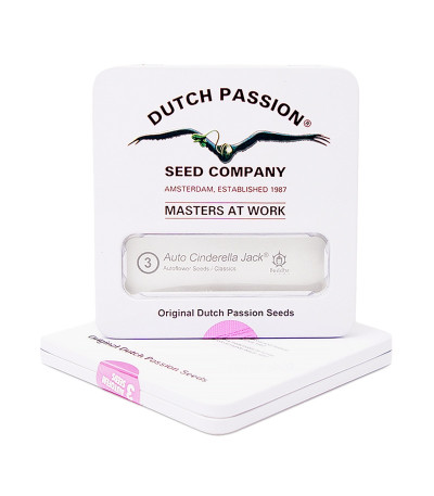 Семена каннабиса Auto Cinderella Jack