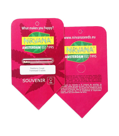 Raspberry Cough fem (Nirvana Seeds) семена конопли