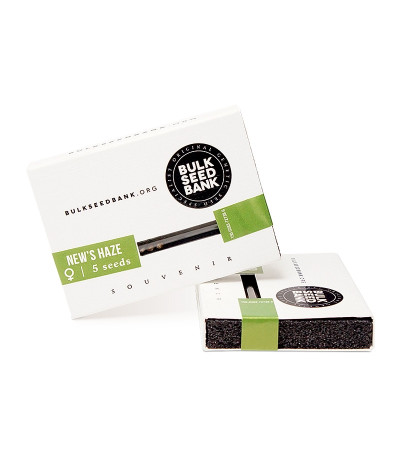 New's Haze fem семена конопли