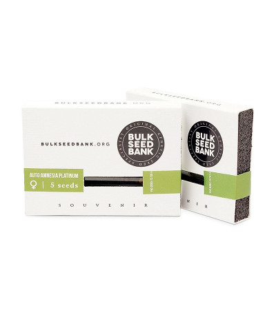Auto Amnezia Platinum fem семена конопли