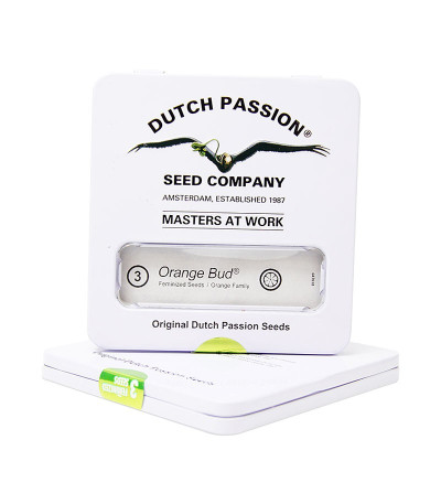 Orange Bud fem (Dutch Passion) семена конопли