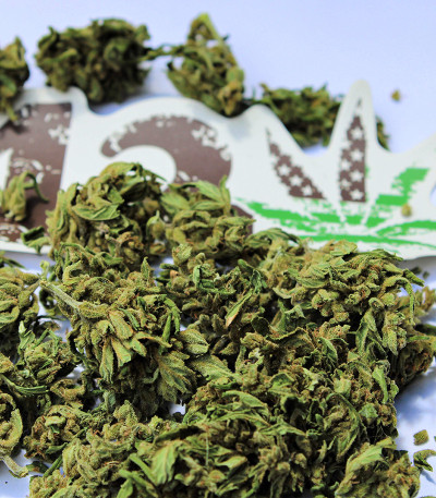 Original Auto White Widow fem (FastBuds) семена конопли