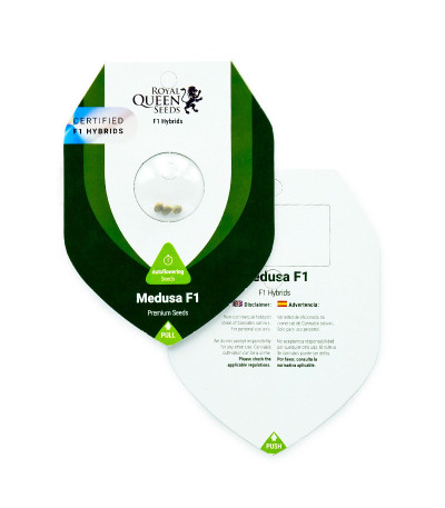 Семена конопли сорта Medusa F1 Auto