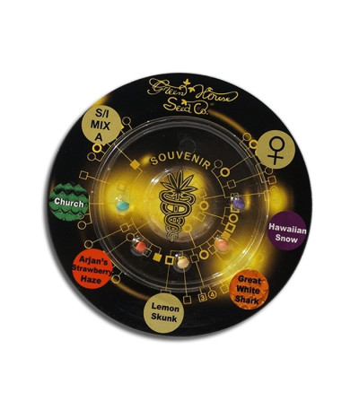 Sativa/Indica mix A микс семян конопли