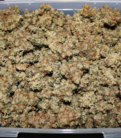 Smoothie Auto fem (FastBuds) семена конопли