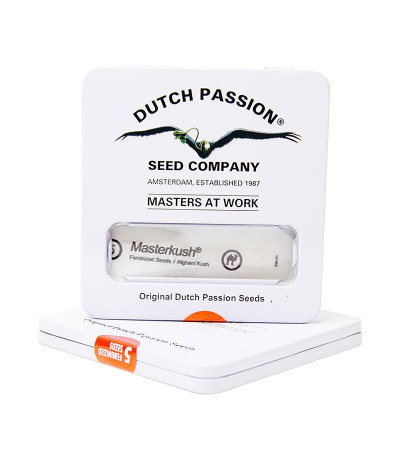 Master kush fem (Dutch Passion) семена конопли