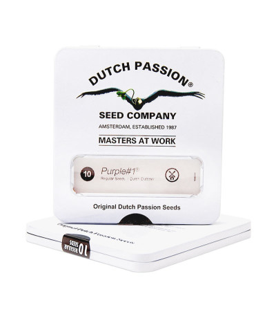 Purple #1 reg (Dutch Passion) семена конопли