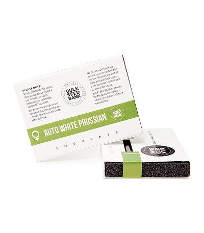 Auto White Prussian fem семена конопли