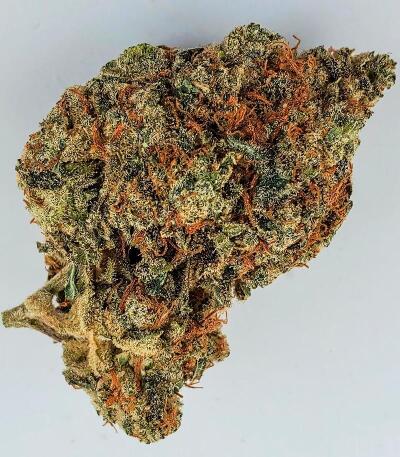 Gorilla 4 Autoflower fem (Easy Grow Seeds) семена конопли