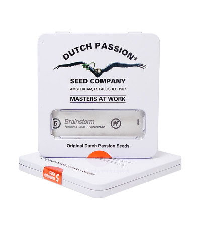 Семена конопли Brainstorm в оригинальной упаковке