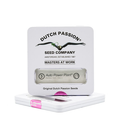 Auto Power Plant (Dutch Passion) семена конопли