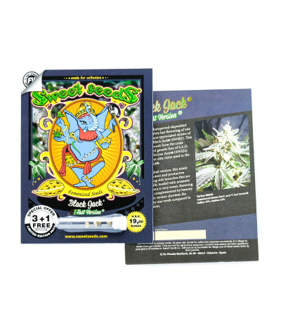 Black Jack F1 Fast Version fem (Sweet Seeds) семена конопли