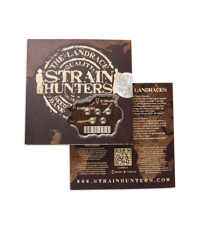 Damnesia fem (Strain Hunters) семена конопли