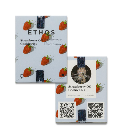 Strawberry OG Cookies R1 fem (Ethos Genetics) семена конопли