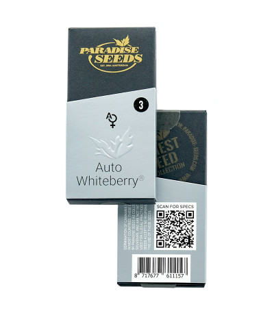 Auto Whiteberry fem (Paradise Seeds) семена конопли
