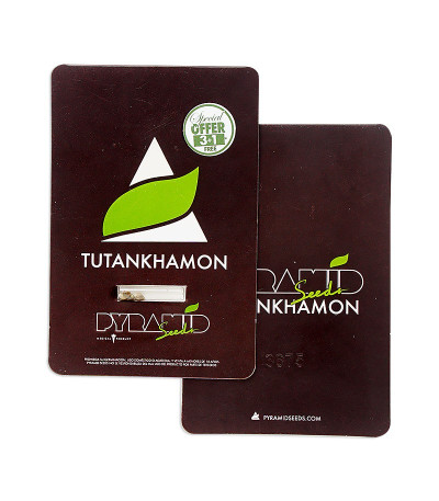 Tutankhamon fem (Pyramid Seeds) семена конопли