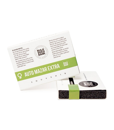 Auto NBA Diesel fem семена конопли