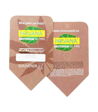 Aurora Indica regular (Nirvana Seeds) семена конопли