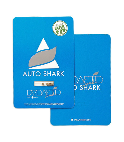 Auto Shark fem (Pyramid Seeds) семена конопли