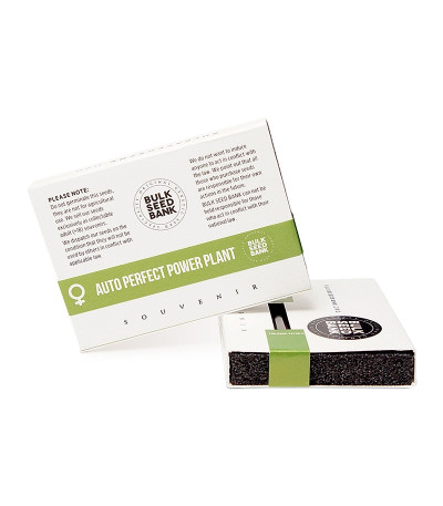 Auto Perfect Power Plant fem семена конопли