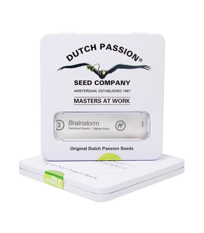 Семена марихуаны Brainstorm в оригинальной упаковке