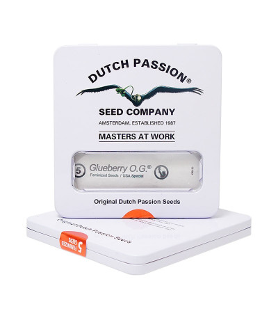Семена конопли Glueberry O.G. в оригинальной упаковке