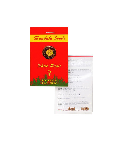 White Magic fem семена конопли
