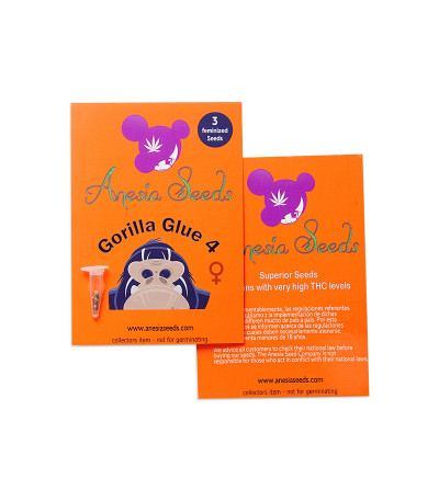 Gorilla Glue #4 fem (Anesia Seeds) семена конопли