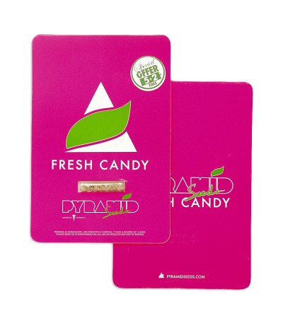 Fresh Candy fem (Pyramid Seeds) семена конопли