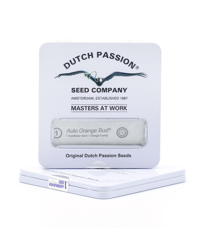 Auto Orange Bud fem (Dutch Passion) семена конопли