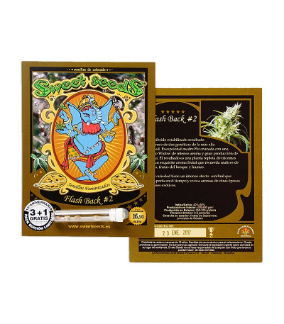 Flash Back #2 fem (Sweet Seeds) семена конопли