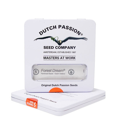 Семена марихуаны Forest Dream в оригинальной упаковке