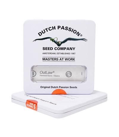 Семена марихуаны Outlaw в оригинальной упаковке