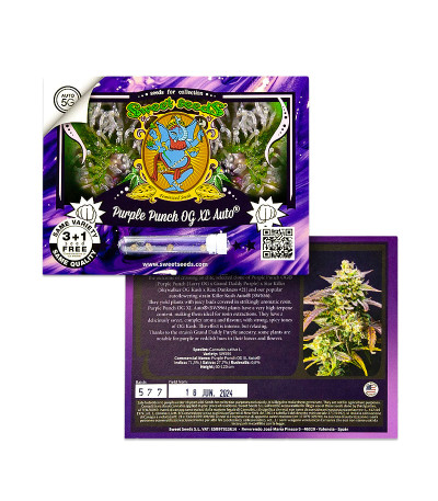 Purple Punch OG XL Auto fem (Sweet Seeds) семена конопли