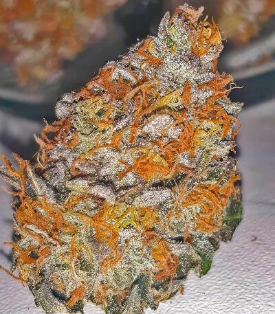 Garlic Cookies fem семена конопли