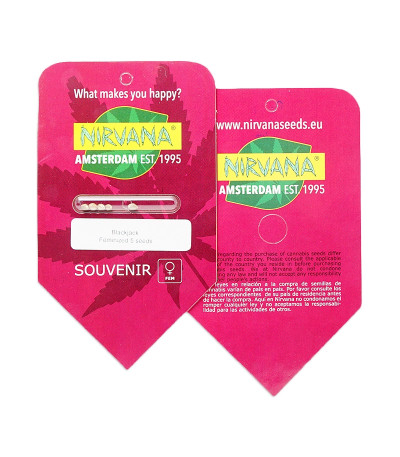 BlackJack fem (Nirvana Seeds) семена конопли