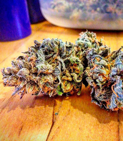 OG Kush fem (Humboldt Seeds) семена конопли