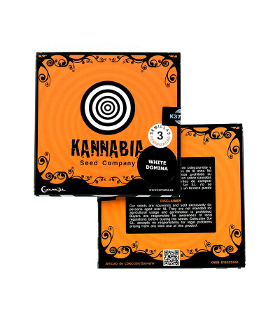 White Domina fem (Kannabia Seed Company) семена конопли