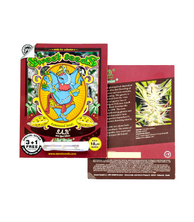 S.A.D. Sweet Afgani Delicious F1 Fast Version fem (Sweet Seeds) семена конопли