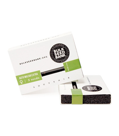 Auto NBA Diesel fem семена конопли