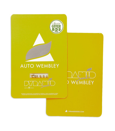 Auto Wembley fem (Pyramid Seeds) семена конопли