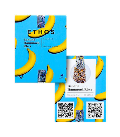 Banana Hammock RBX fem (Ethos Genetics) семена конопли