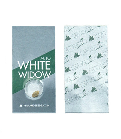 Auto White Widow fem (Pyramid Seeds) семена конопли