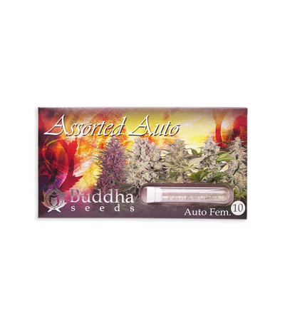 Buddha Assorted Auto микс семян конопли